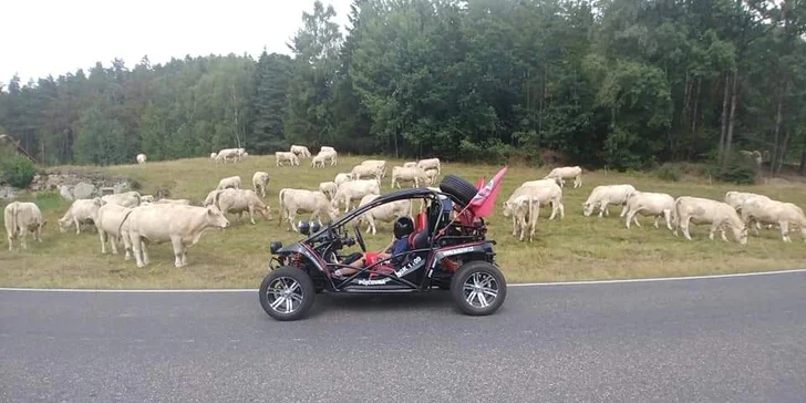 Projížďka silniční buggynou na 15, 30 i 60 minut nebo celé 4 hodiny