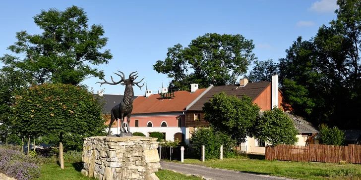 Tříchodové dýňové menu pro dva: polévka, panenka či rizoto a koláč