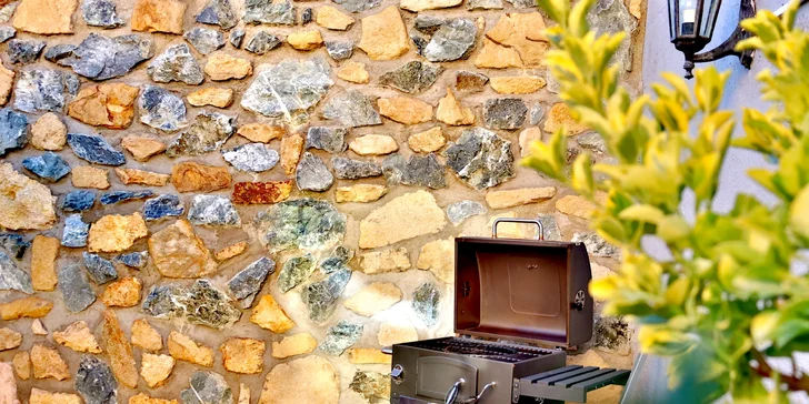 Dvě pizzy o průměru 30 cm podle výběru a limonáda, pivo či víno