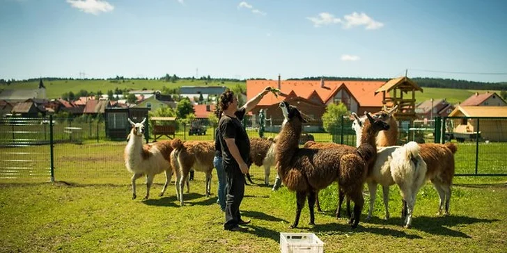 V podhůří Vysokých Tater pro dvojici s polopenzí a slevou na vstup do Aqua City Poprad