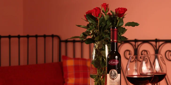 V páru či s rodinou na dovolenou do Prahy: příjemný penzion, snídaně i privátní wellness