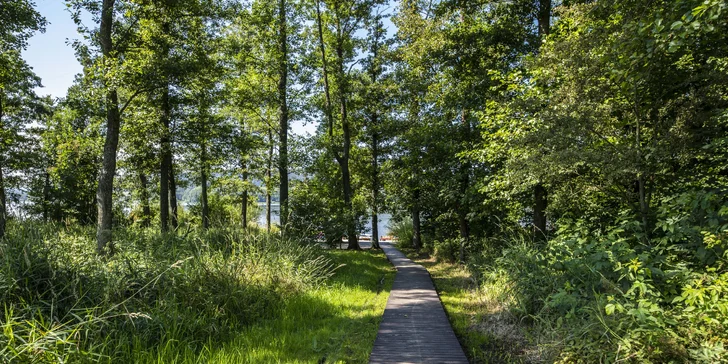 Wellness pobyt v resortu přímo u Lipna: polopenze, sauna a bazén i další bonusy