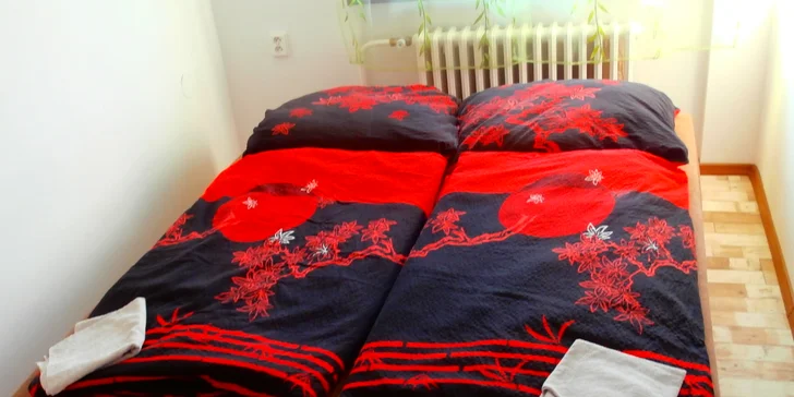 Do Beskyd až ve 12 osobách: vybavená vila s kuchyňkou i vířivkou