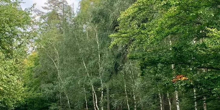 Projížďka silniční buggynou na 15, 30 i 60 minut nebo celé 4 hodiny