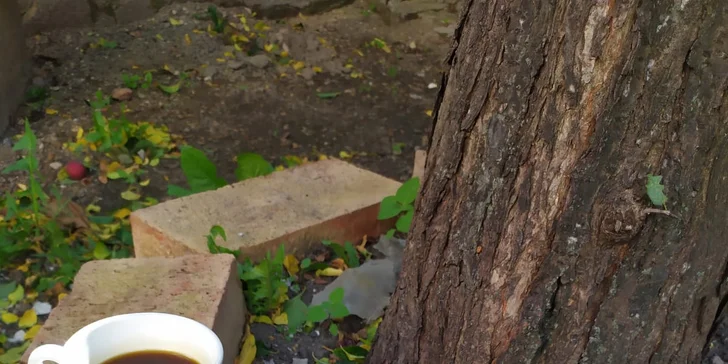 Brunch s kávou pro dva: vejce, lívanečky s tvarohem i jogurt s ovocem