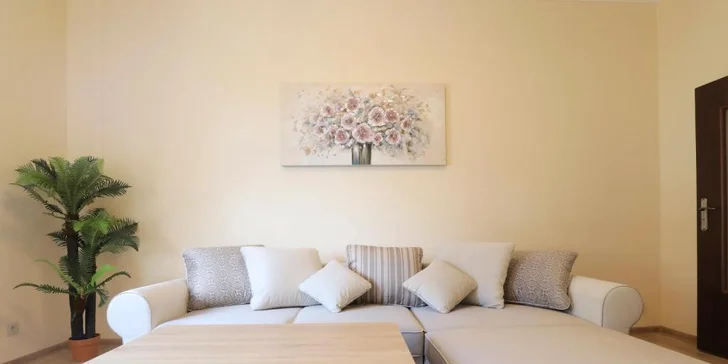 Krásy Karlových Varů: pobyt se snídaní v luxusním apartmánu s kuchyňkou