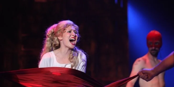 Vstupenka na romatický muzikál Tři mušketýři v Divadle Broadway