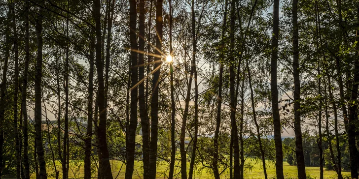 Noční focení Prahy nebo fotokurz v přírodě Jizerských hor: 3–4 hodiny na pořízení snímků i jejich úprava