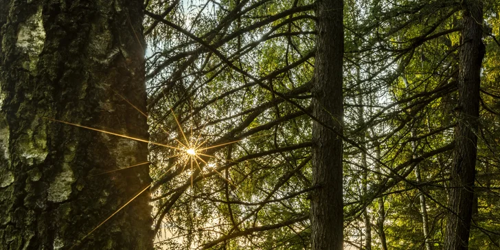 Noční focení Prahy nebo fotokurz v přírodě Jizerských hor: 3–4 hodiny na pořízení snímků i jejich úprava