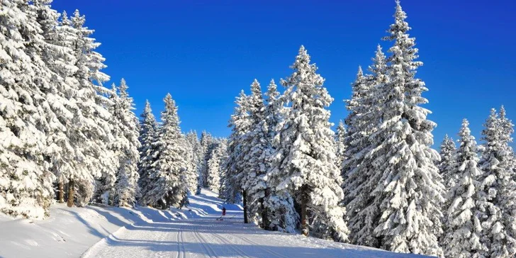 Dovolená ve slovinském Zreče: termální bazény, saunový svět, polopenze a skipas