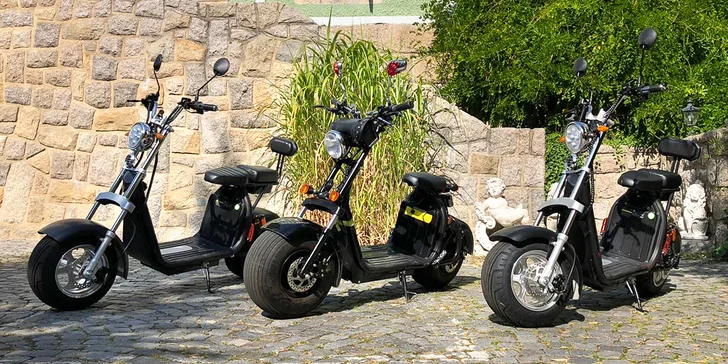 Rozjeďte se s větrem o závod: zapůjčení motoběžky na 3 hodiny i celý den