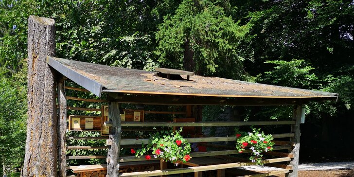Luxusní glamping se snídaní u Bledu: dřevěný domek v lese až pro 4 os., vlastní horká káď na terase, sauna i masáž