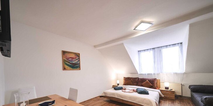 Pohoda v Karlových Varech až v 7 osobách: moderní apartmány s kuchyňkou