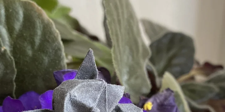Kurz origami: základní sklady a přehyby a tradiční i moderní figury