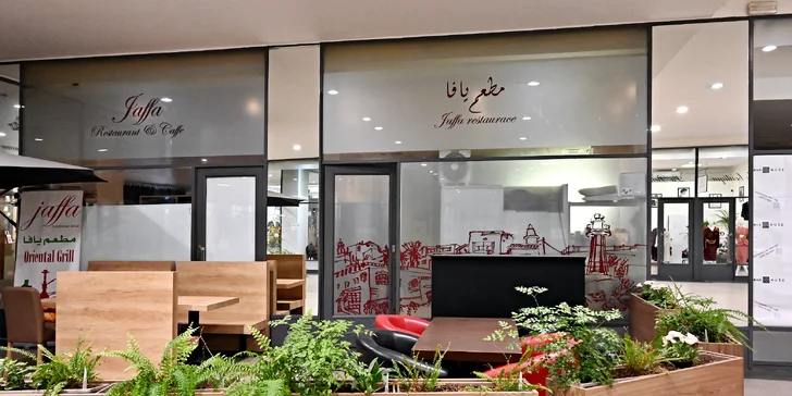 Arabský mix gril pro jednoho i partu: jehněčí, kuřecí i hovězí maso a zelenina