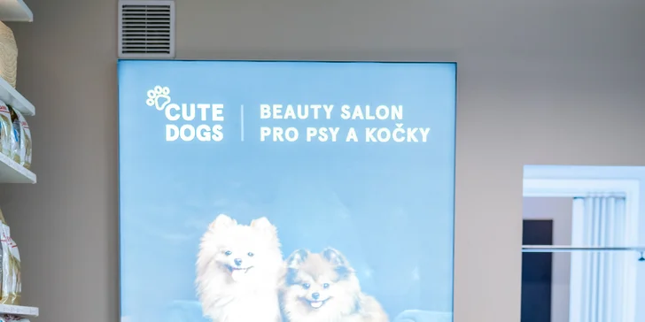 Komplexní beauty balíček pro psa či kočku: mytí, péče o srst a chrup i dárečky