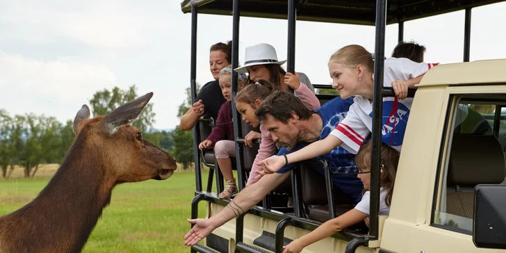 Zažijte život zvířat: pobyt v Safari Resortu se snídaní a Offroad Safari jízdou