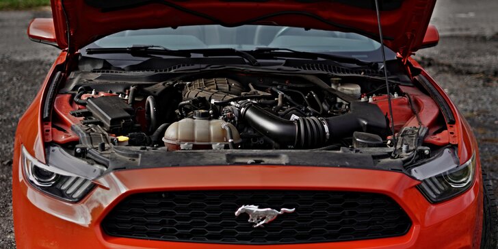 Ford Mustang kabriolet: 20–60 min. řízení i pronájem na den či víkend