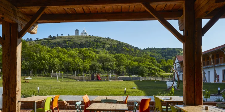 Tříchodové svatomartinské menu i s vinným párováním pro 2 osoby