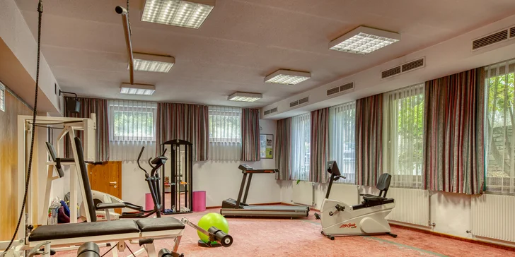 Fitness můžete využít neomezeně.