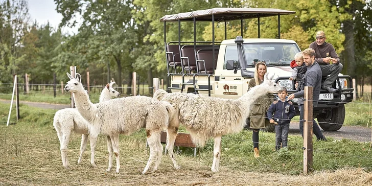 Zažijte život zvířat: pobyt v Safari Resortu se snídaní a Offroad Safari jízdou