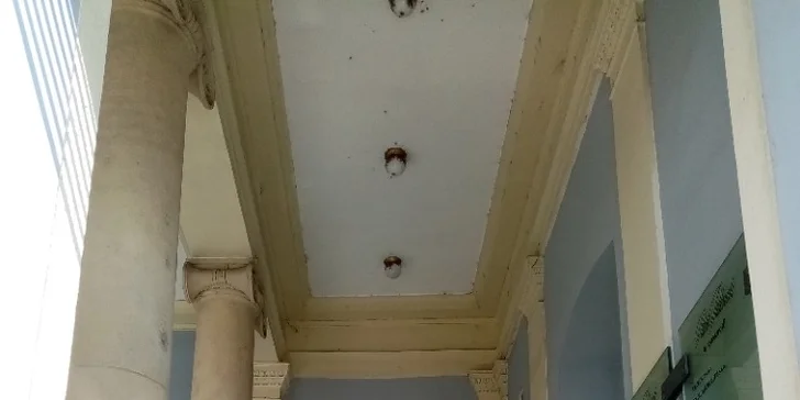 Krásná pleť díky diamantové mikrodermabrazi a liftingové masáži