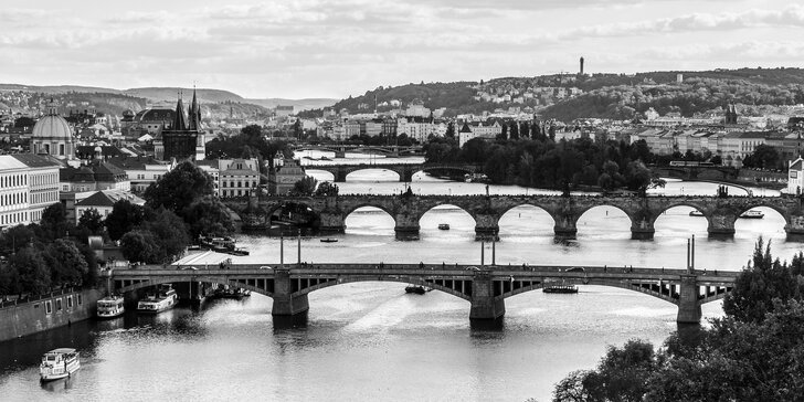 S fotoaparátem do Prahy: kurz focení s teorií online a s praxí v centru nebo zoo