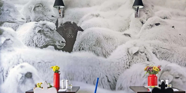 Jedinečný wellness pobyt v lázeňském městečku Piwniczna-Zdrój v Beskydech