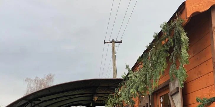 Čerstvě uříznuté vánoční jedle a smrky z Beskyd: tři jakosti podle výšky od 1,4 do 1,8 metru