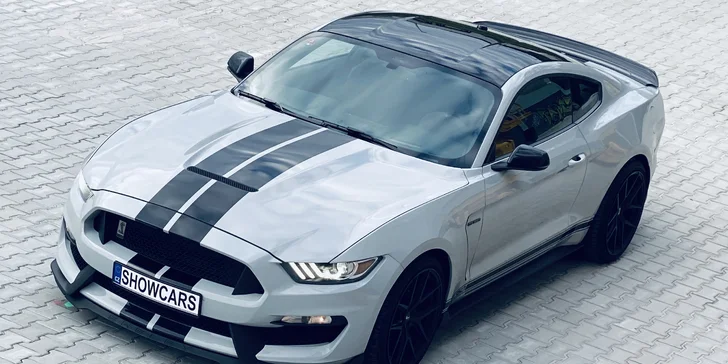 Ford Mustang SHELBY: Není Mustang jako Mustang, KOBRU ve znaku má jen jeden