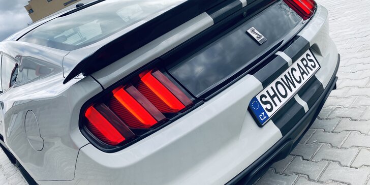 Ford Mustang SHELBY: Není Mustang jako Mustang, KOBRU ve znaku má jen jeden
