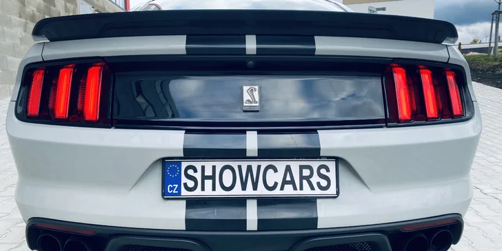 Ford Mustang SHELBY: Není Mustang jako Mustang, KOBRU ve znaku má jen jeden