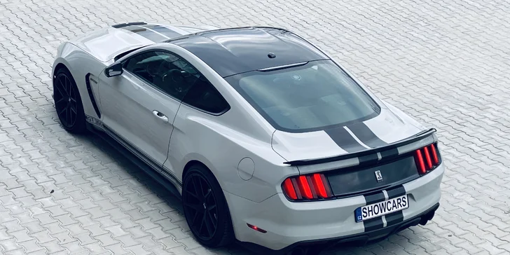 Ford Mustang SHELBY: Není Mustang jako Mustang, KOBRU ve znaku má jen jeden