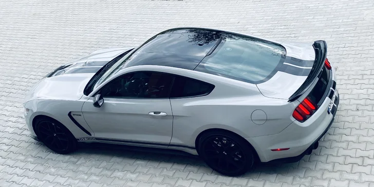 Ford Mustang SHELBY: Není Mustang jako Mustang, KOBRU ve znaku má jen jeden