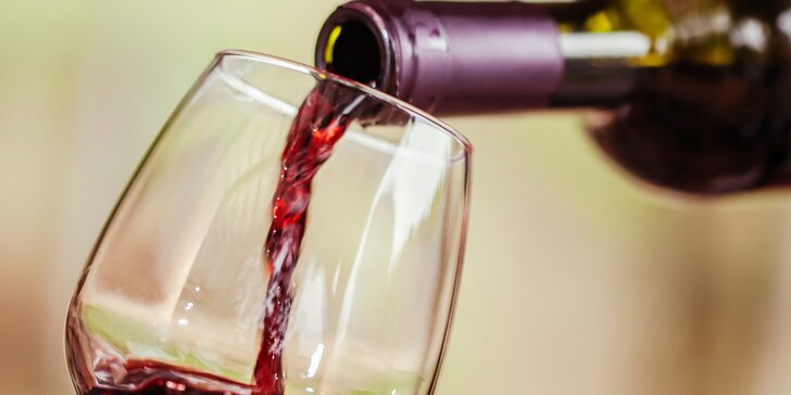 Svatomartinské tříchodové menu se sklenkou vína pro dva v restauraci Cinda
