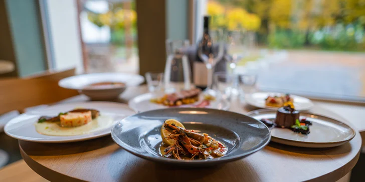 5chodové degustační menu pro dva: kachní prso či pstruh, krevety, rajská polévka, panna cotta