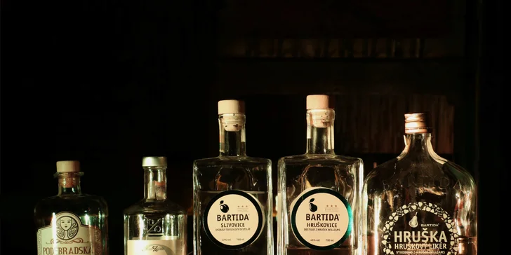 Degustace pro jednoho: 6 druhů českých likérů a pálenek v Zanzi Baru