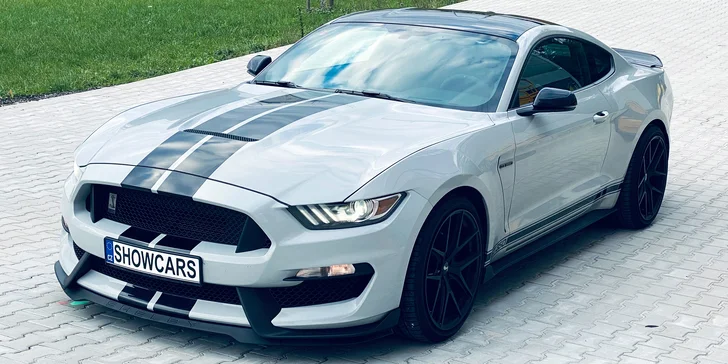 Ford Mustang SHELBY: Není Mustang jako Mustang, KOBRU ve znaku má jen jeden