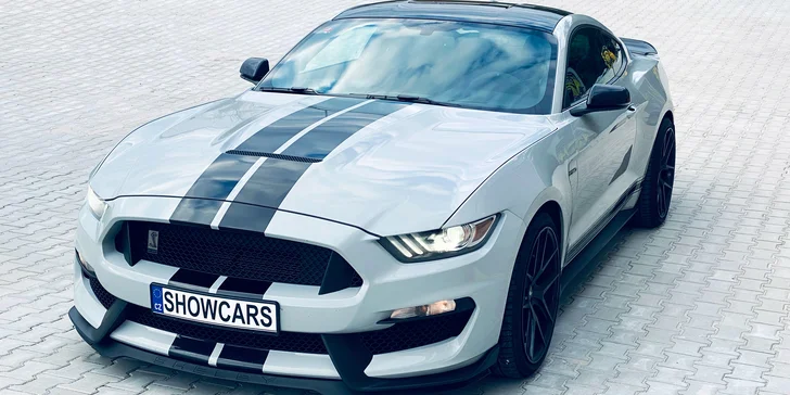 Ford Mustang SHELBY: Není Mustang jako Mustang, KOBRU ve znaku má jen jeden
