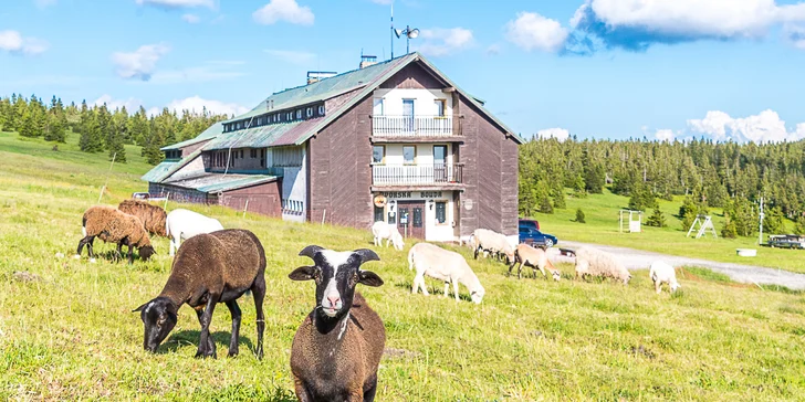 Dětské tábory: 4 místa napříč ČR, celé prázdniny, klasické i tematické vč. koňského nebo anglického