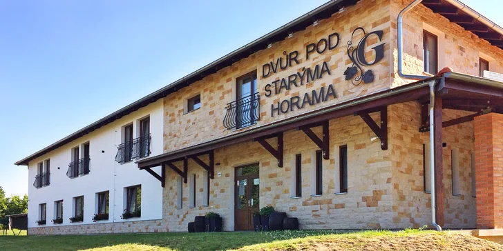 Pobyt v rodinném vinařství na Slovácku: famózní víno, degustace i wellness