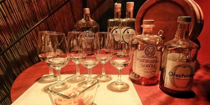 Degustace pro jednoho: 6 druhů českých likérů a pálenek v Zanzi Baru