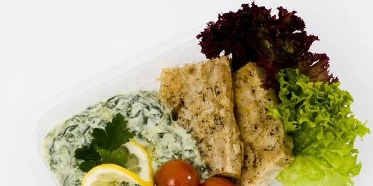 Zdravé stravování Fitness Food menu na 10 dní s dopravou zdarma