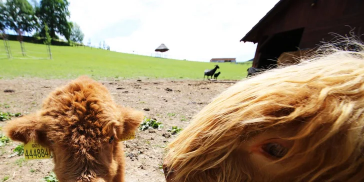 Celodenní vstupenky do Farmaparku pro dítě či dospělého nebo pro celou rodinu