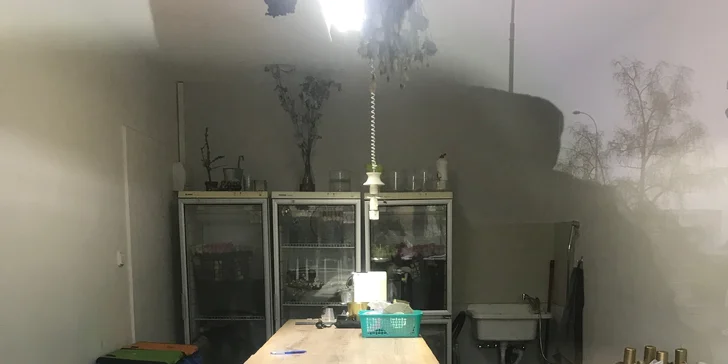 Uvažte si originální kytici: 90minutový floristický workshop