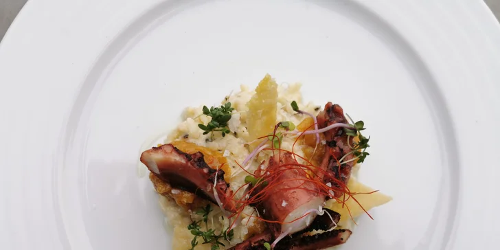 5chodové menu pro 2 gurmány: carpaccio, hovězí brisket nebo grilovaná chobotnice i parfait