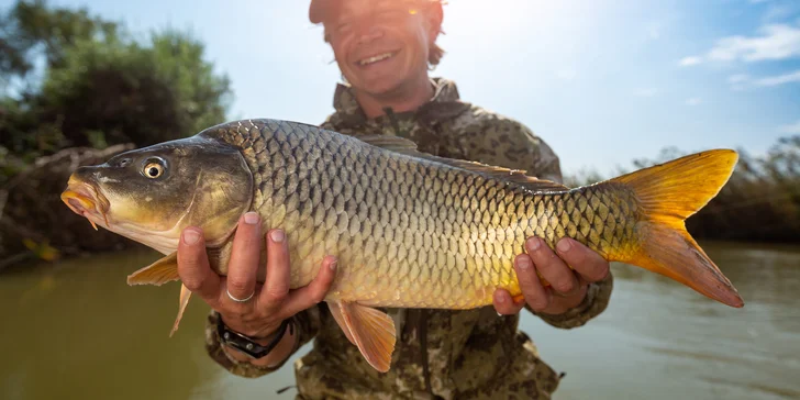 Ulovte si vánočního kapra: 1- či 2denní povolenka, výlov i zapůjčení vybavení