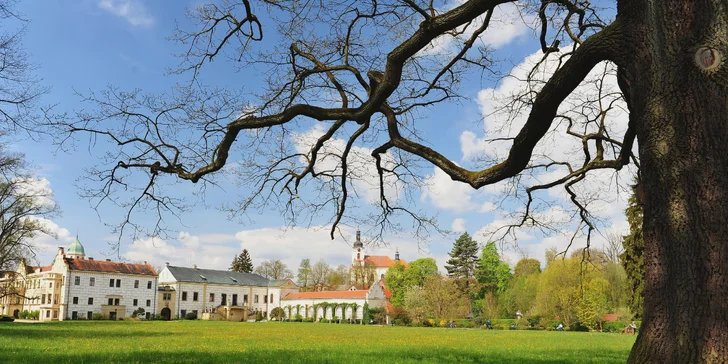Pobyt nedaleko Orlických hor: snídaně či polopenze, wellness i masáž