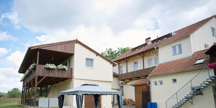 Môžete využiť aj altánok s krbom (za príplatok, v cene je aj drevo, riad a upratovanie).