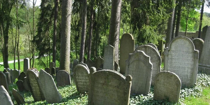 Jednodenní výlet s průvodcem: elektrárna Dukovany, pivovar Dalešice a město Třebíč